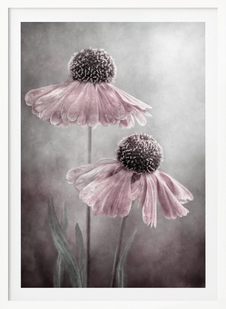 Duet - Poster / Art Print