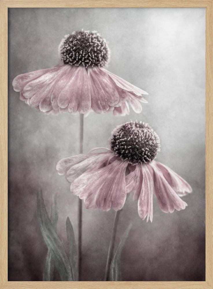 Duet - Poster / Art Print