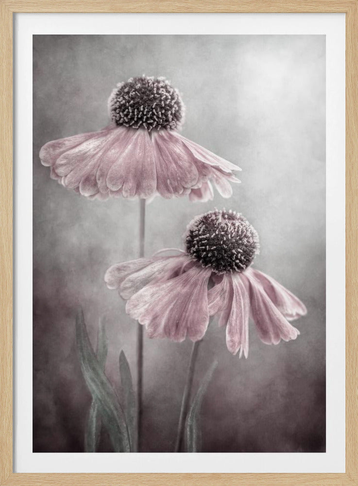 Duet - Poster / Art Print