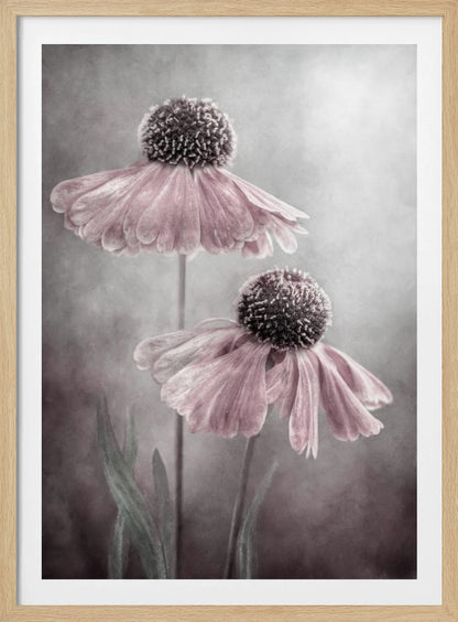 Duet - Poster / Art Print
