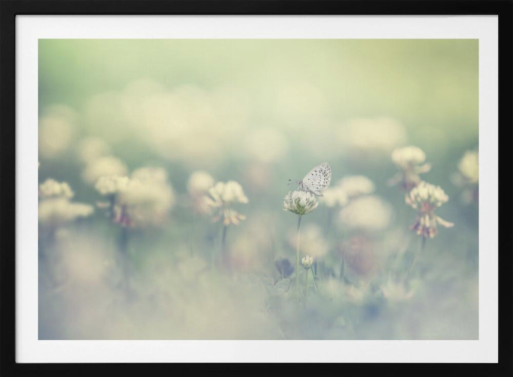 small world - Poster / Art Print