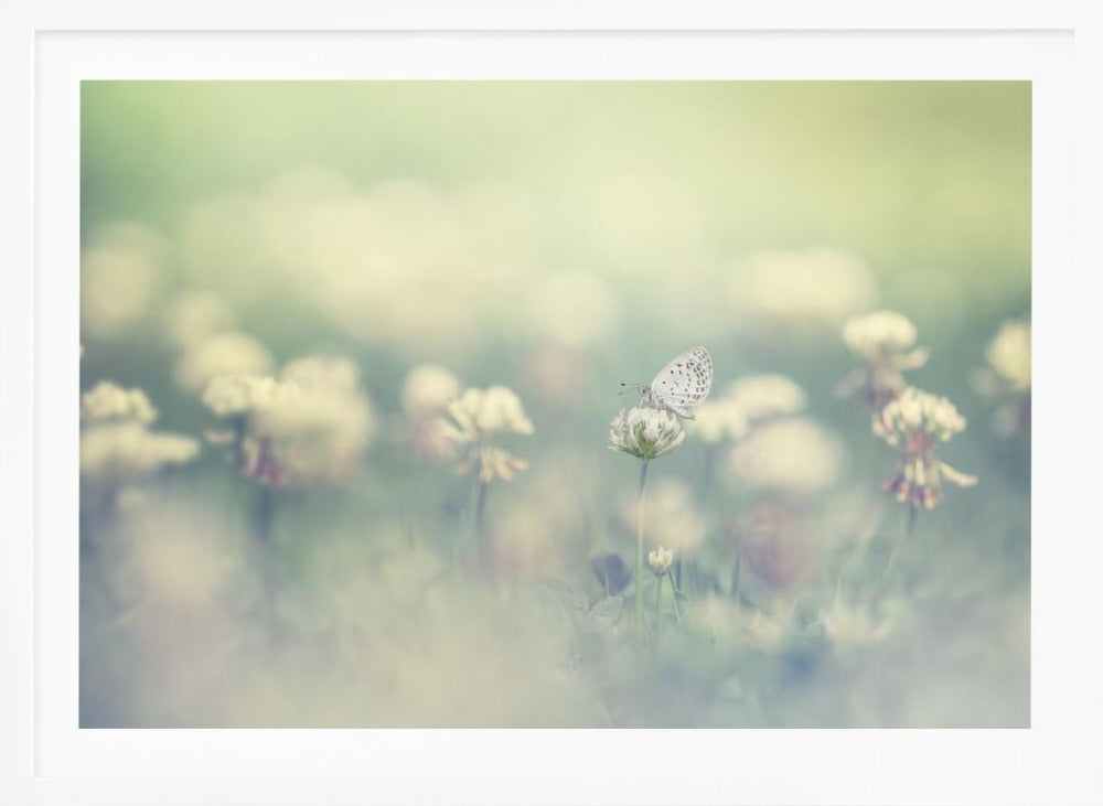 small world - Poster / Art Print