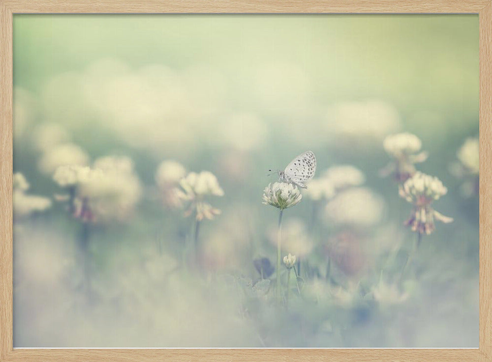 small world - Poster / Art Print