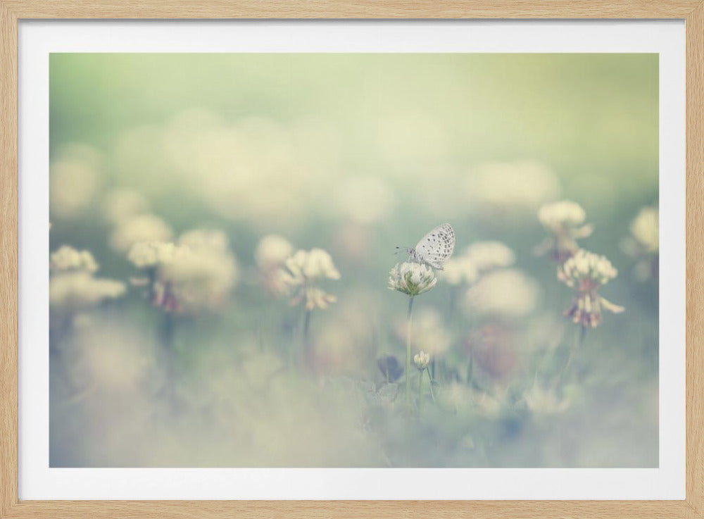 small world - Poster / Art Print