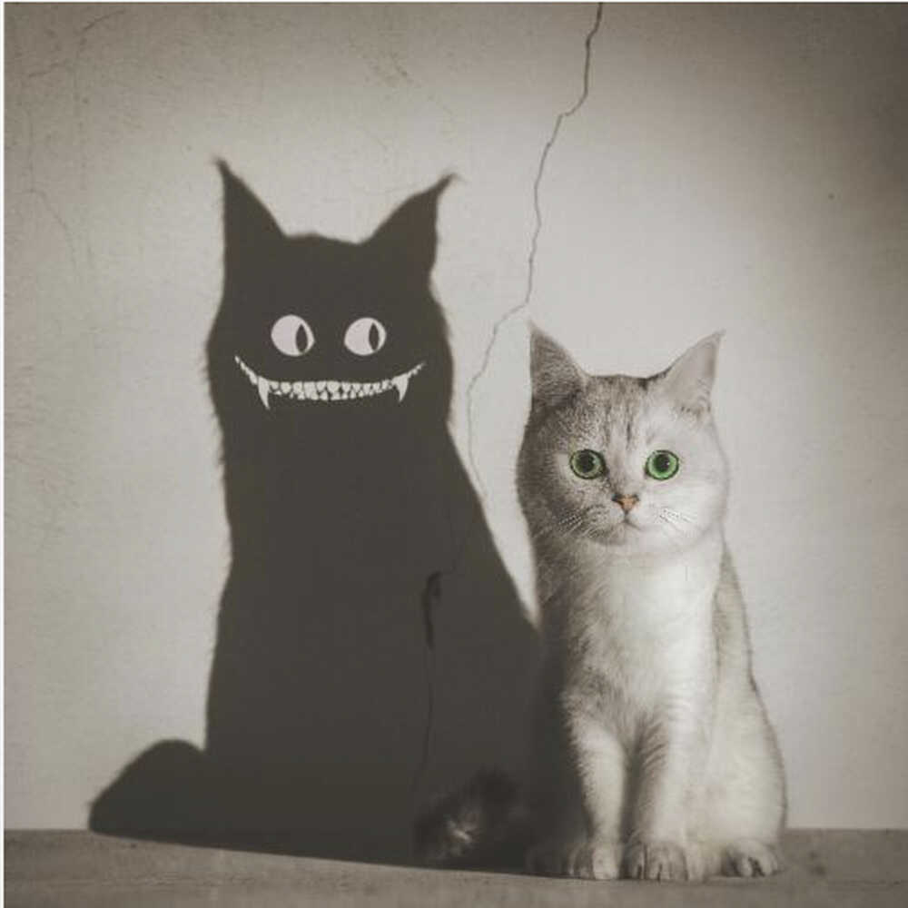 The Shadow Smiles to You - Poster / Art Print