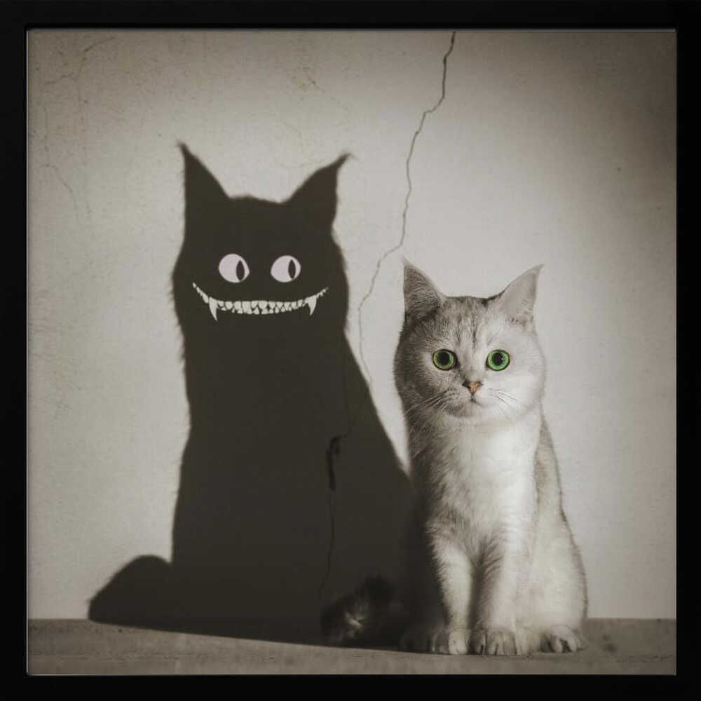 The Shadow Smiles to You - Poster / Art Print