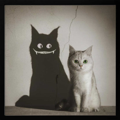 The Shadow Smiles to You - Poster / Art Print