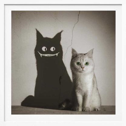 The Shadow Smiles to You - Poster / Art Print