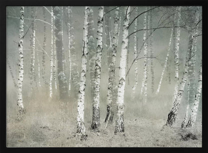 Morning silence - Poster / Art Print