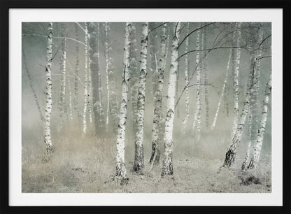 Morning silence - Poster / Art Print