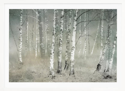 Morning silence - Poster / Art Print