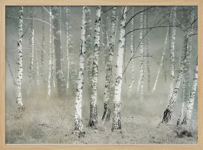 Morning silence - Poster / Art Print
