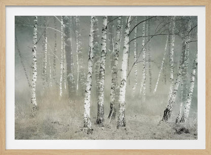 Morning silence - Poster / Art Print