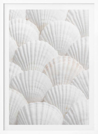 Shells_3 - Poster / Art Print