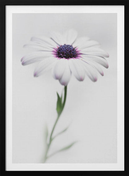 In my garden_3 - Poster / Art Print