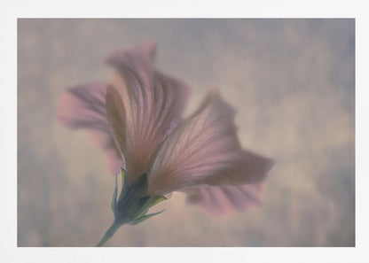 Dancing - Poster / Art Print