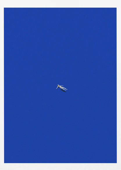 No stress - Poster / Art Print