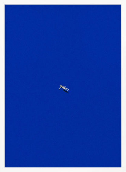 No stress - Poster / Art Print