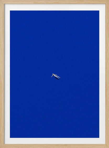 No stress - Poster / Art Print