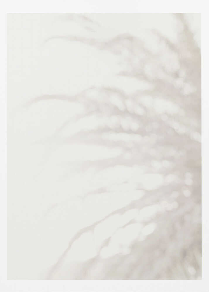 Soft focus photograph of a plant shadow on a light wall. Abstract and calming beige wall art with a minimalist feel.