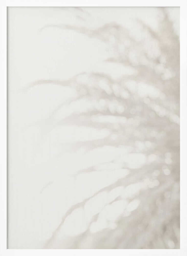 Soft focus photograph of a plant shadow on a light wall. Abstract and calming beige wall art with a minimalist feel.