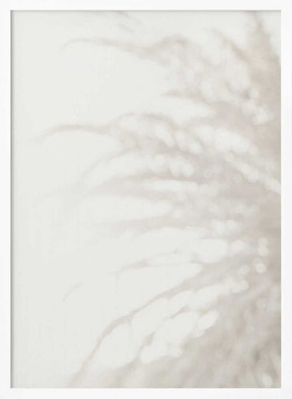 Soft focus photograph of a plant shadow on a light wall. Abstract and calming beige wall art with a minimalist feel.