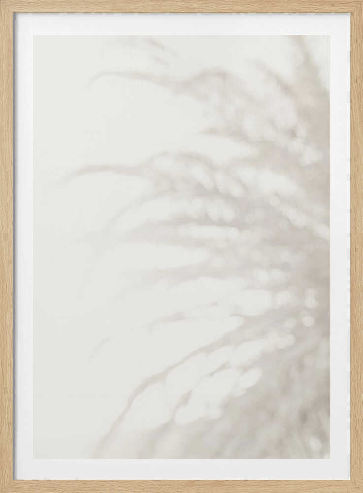 Soft focus photograph of a plant shadow on a light wall. Abstract and calming beige wall art with a minimalist feel.