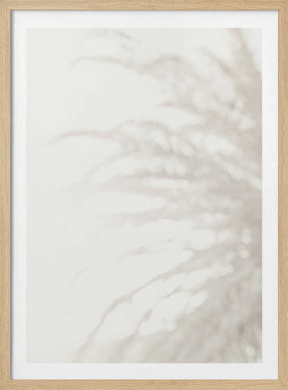 Soft focus photograph of a plant shadow on a light wall. Abstract and calming beige wall art with a minimalist feel.