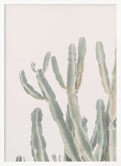 Sunrise Cactus - Poster / Art Print
