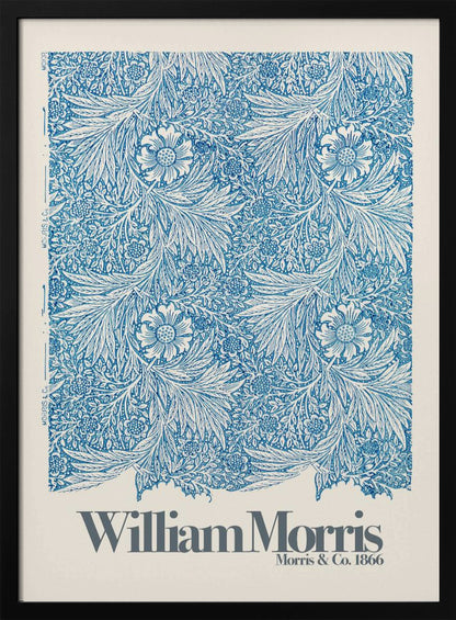 Marigold - Poster / Art Print