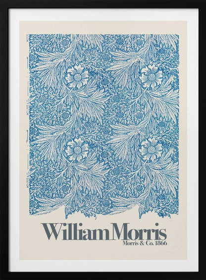 Marigold - Poster / Art Print