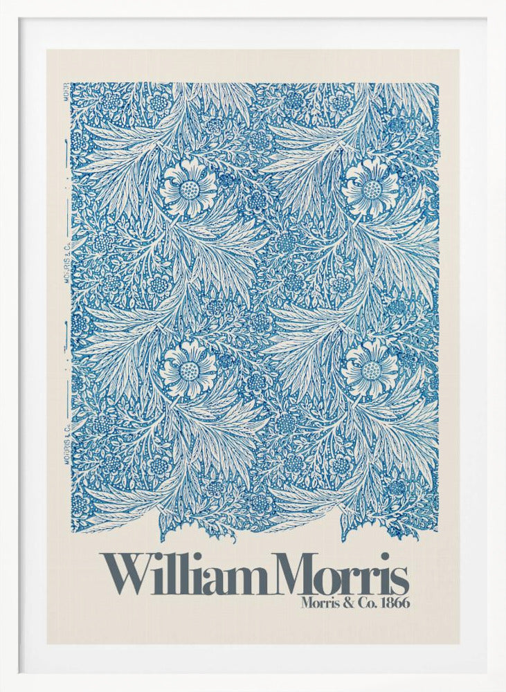 Marigold - Poster / Art Print