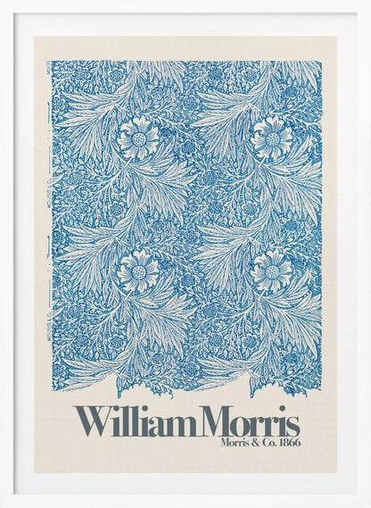 Marigold - Poster / Art Print
