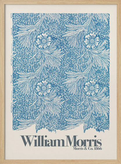 Marigold - Poster / Art Print