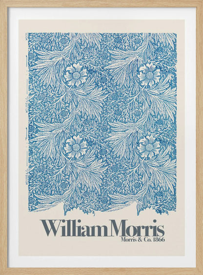 Marigold - Poster / Art Print