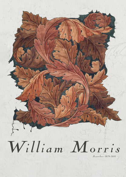 Acanthus - Poster / Art Print