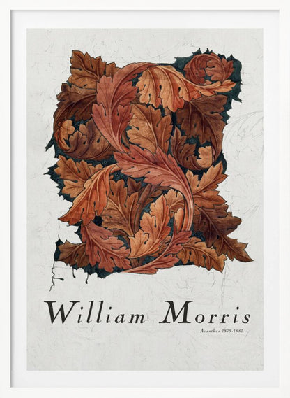 Acanthus - Poster / Art Print