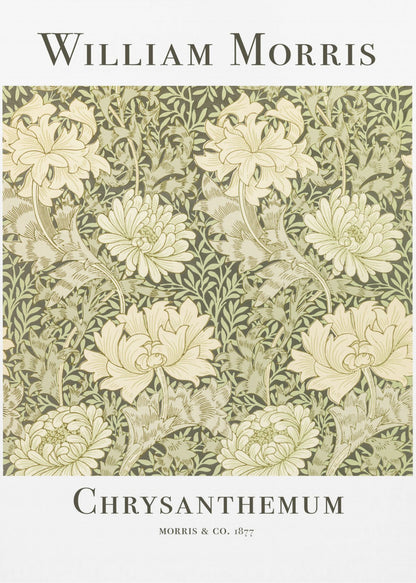 Chrysanthemum - Poster / Art Print