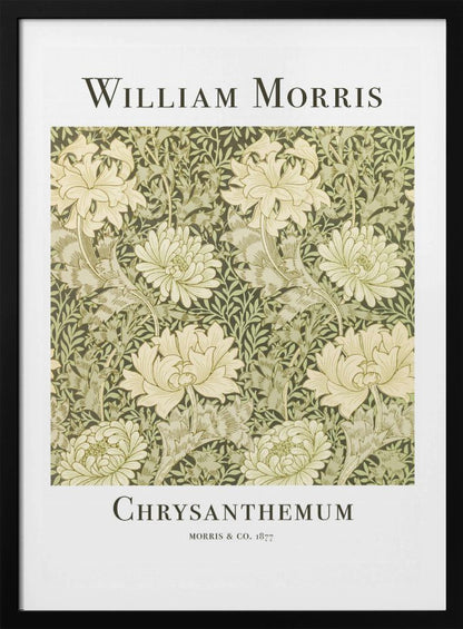 Chrysanthemum - Poster / Art Print