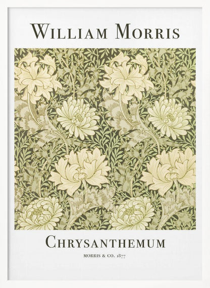 Chrysanthemum - Poster / Art Print