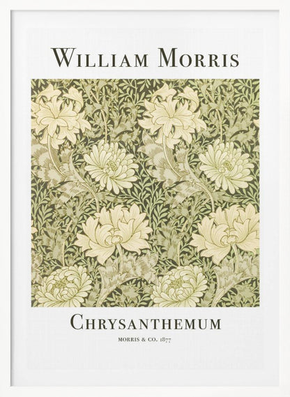 Chrysanthemum - Poster / Art Print