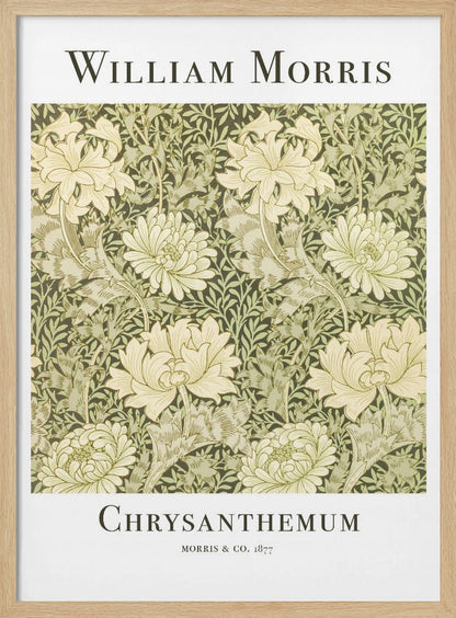 Chrysanthemum - Poster / Art Print