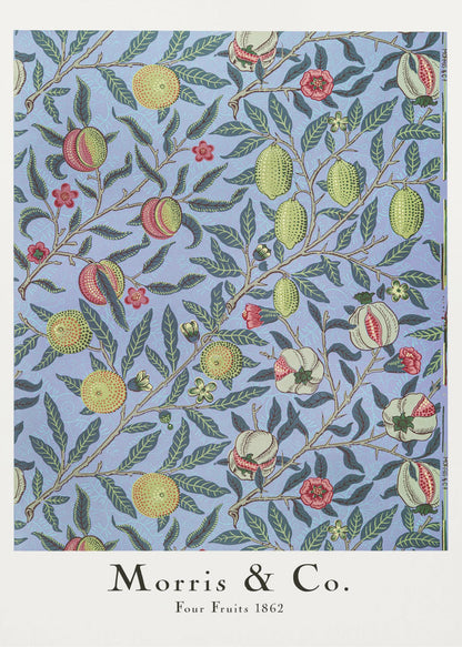 Four Fruits - Poster / Art Print