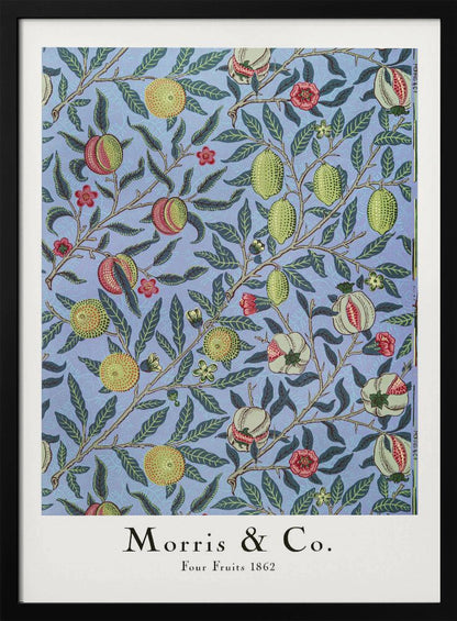 Four Fruits - Poster / Art Print