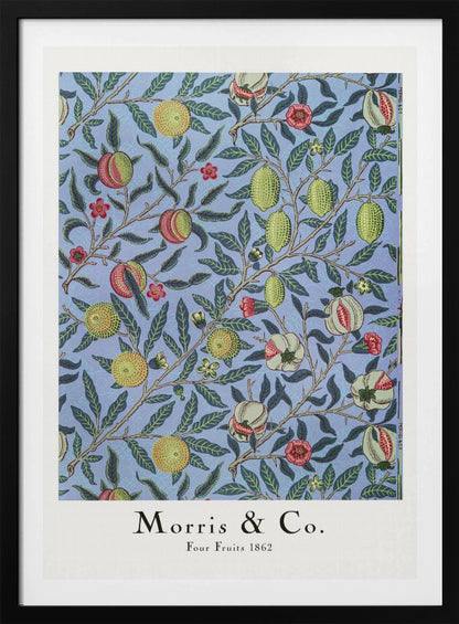 Four Fruits - Poster / Art Print