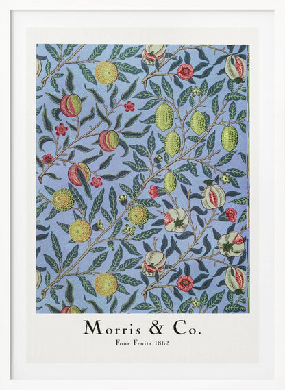 Four Fruits - Poster / Art Print