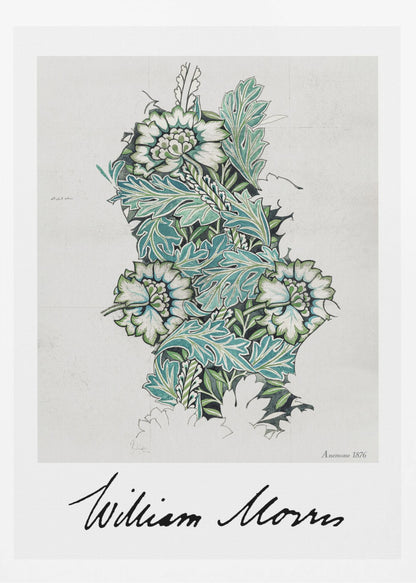 Anemone - Poster / Art Print