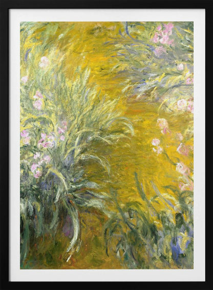 The Path through the Irises - Poster / Art Print
