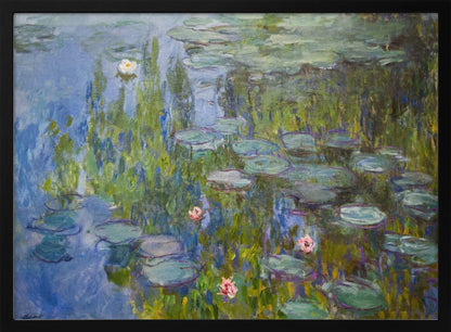 Water Lilies 1915 - Poster / Art Print