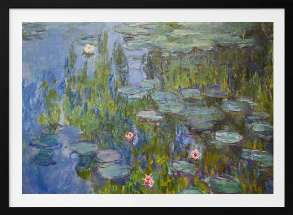 Water Lilies 1915 - Poster / Art Print